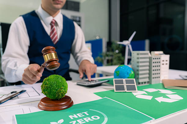 NGT environmental lawyer India